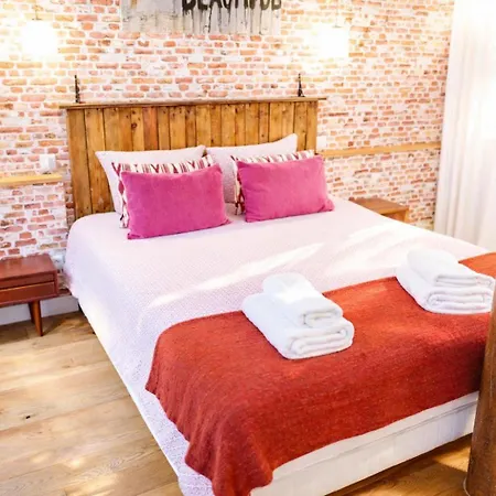 Apartment Montmartre Rue Des Martyrs Loft With Ac, 4-7 Peo